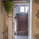Le Secret, Terremarine
